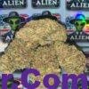 Alien Miracle Cookies 3 import placeholder for 15700