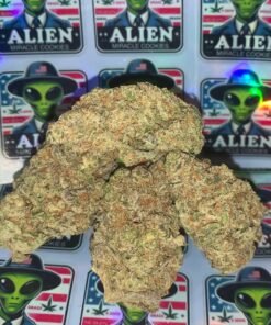 import placeholder for 15700