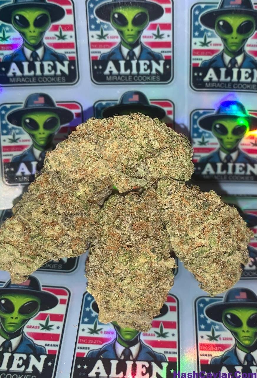 Alien Miracle Cookies