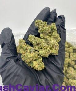 import placeholder for 15964