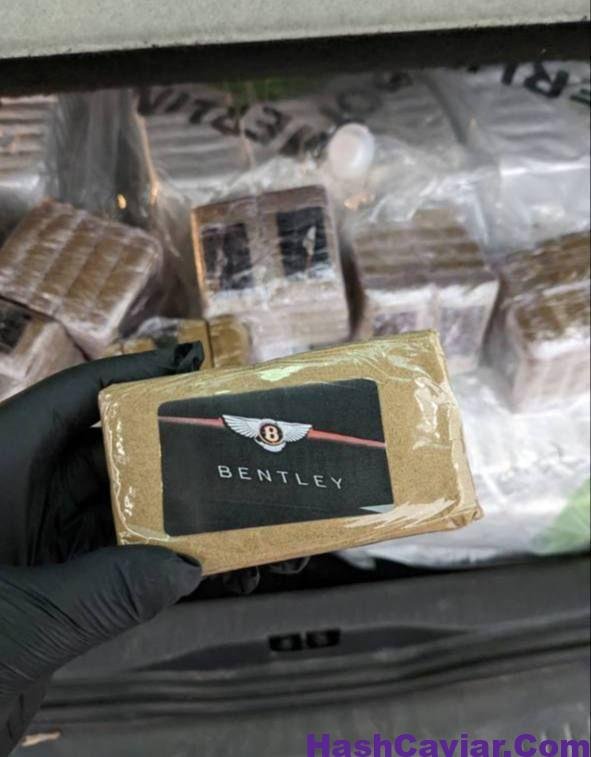 Bentley Mousse Hash