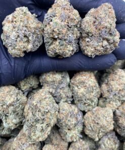 import placeholder for 15708