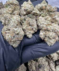 import placeholder for 16458