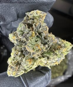 import placeholder for 16414