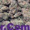 caramel apple gelato strain 2 import placeholder for 16163