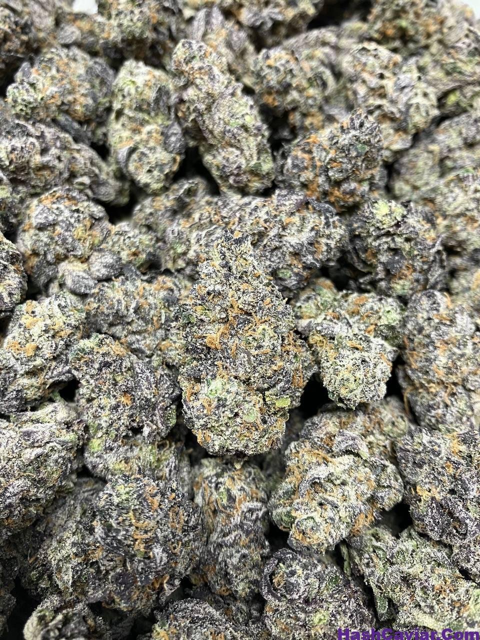 caramel apple gelato strain 2 caramel apple gelato strain