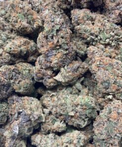 import placeholder for 16163