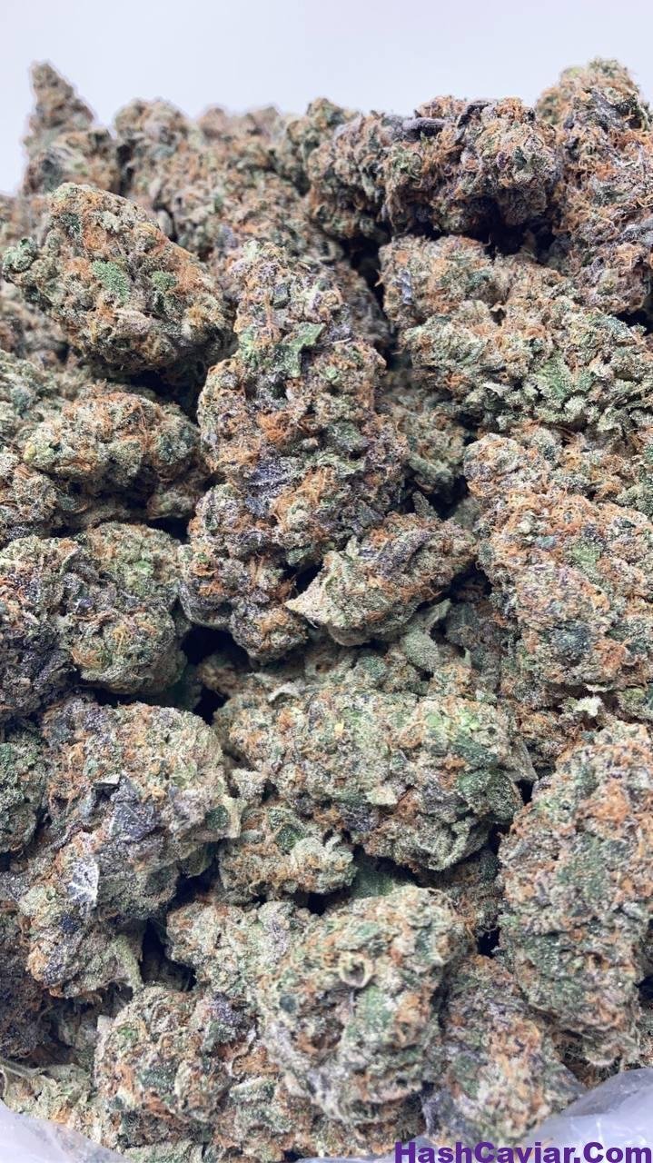 caramel apple gelato strain