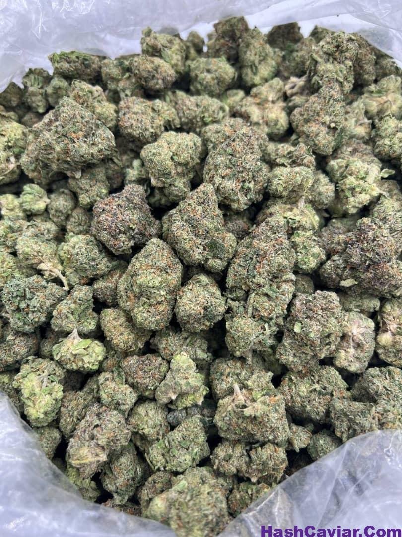 cherry punch strain 1 import placeholder for 16233