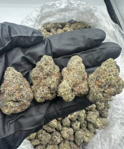 import placeholder for 15730