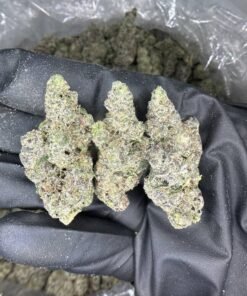 import placeholder for 15739