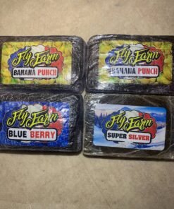 import placeholder for 15709