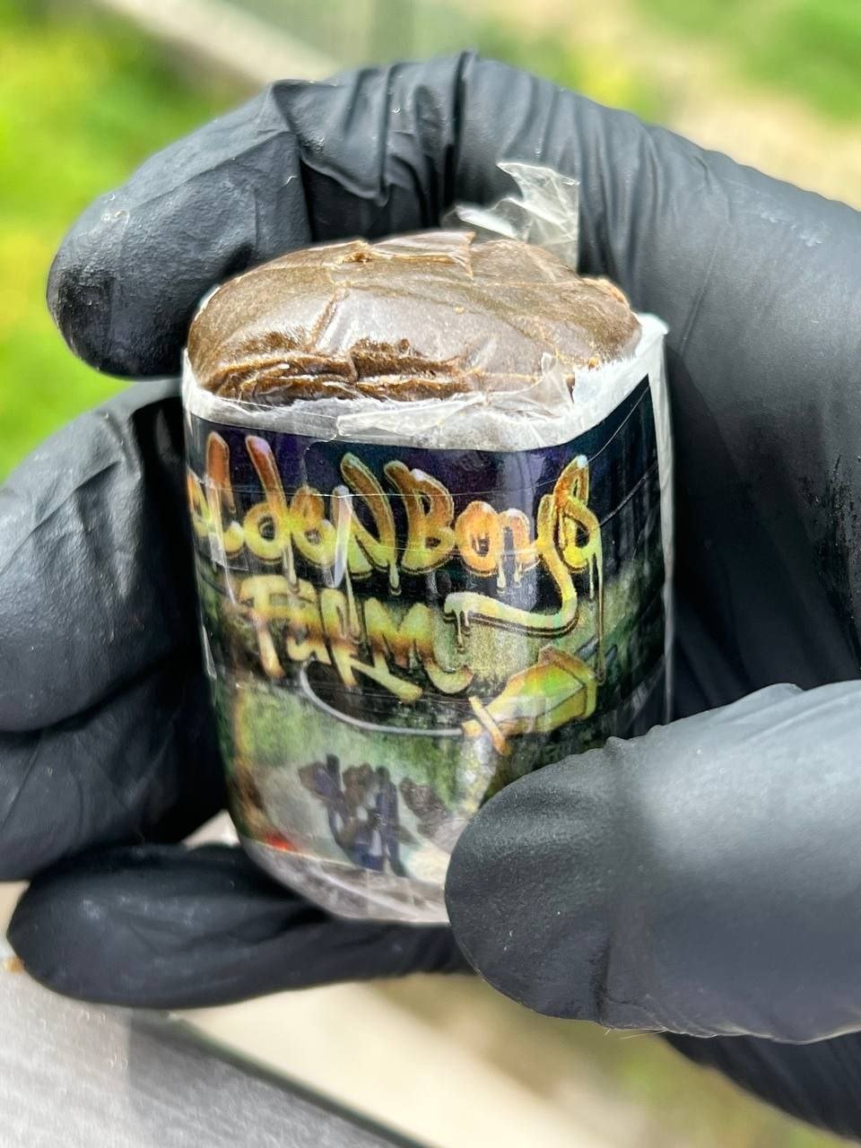 Golden Boys Farm 1 import placeholder for 91