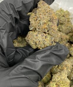 Horchata Strain THC 3 horchata strain thc