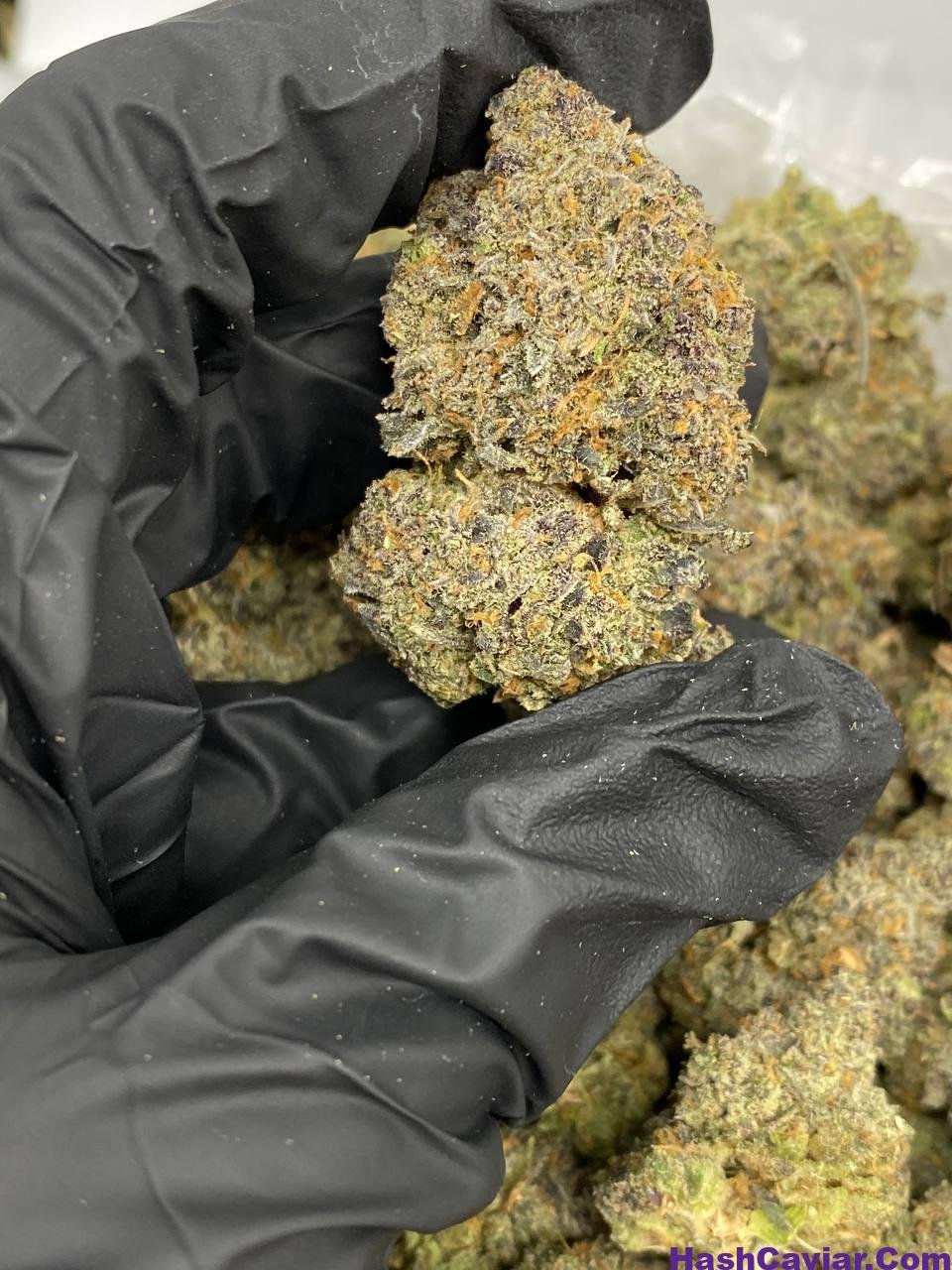 Horchata Strain THC 2 horchata strain thc