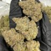 Horchata Strain THC 3 import placeholder for 16158