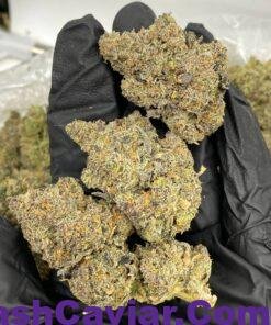 import placeholder for 16158