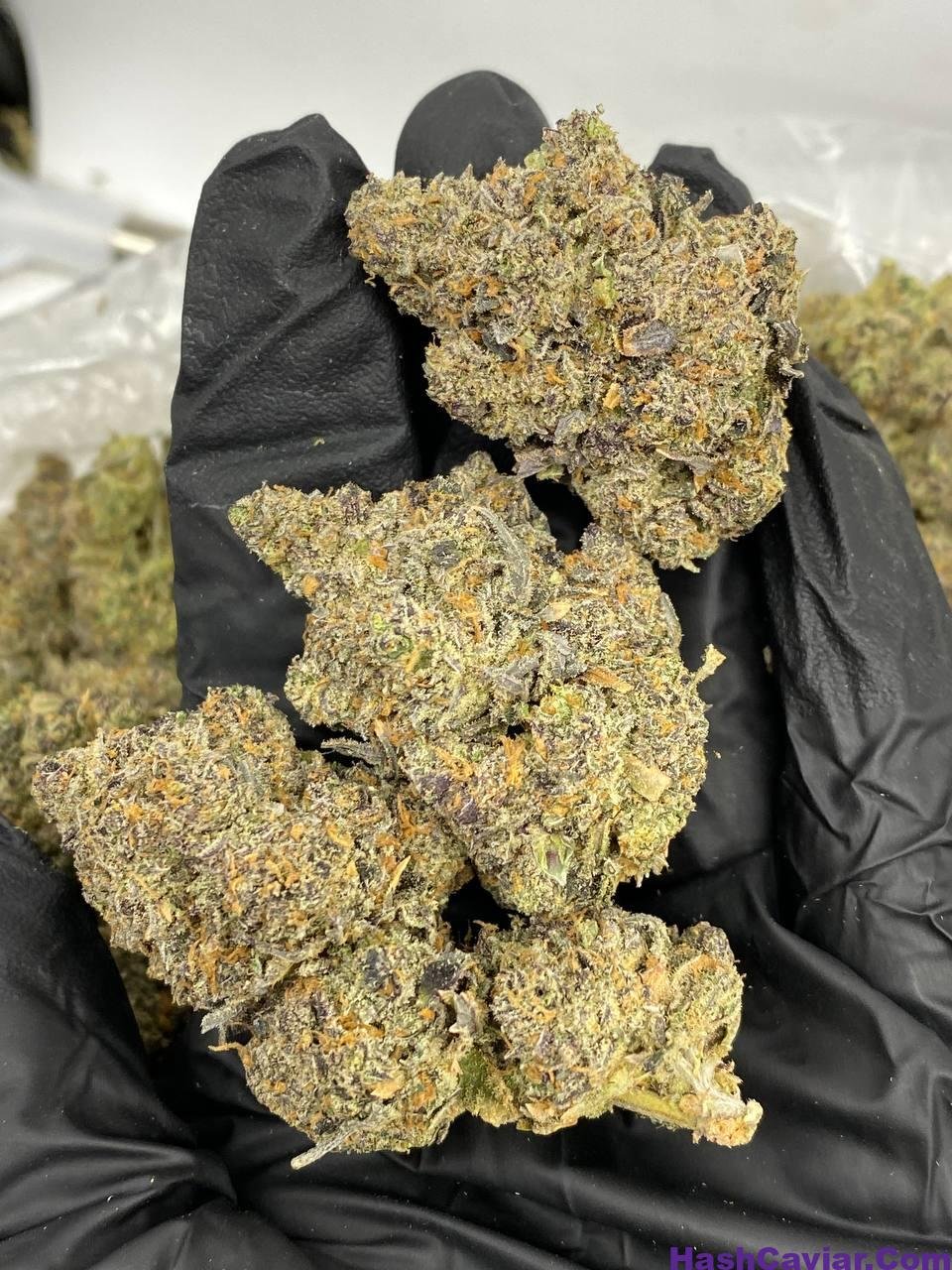 Horchata Strain THC
