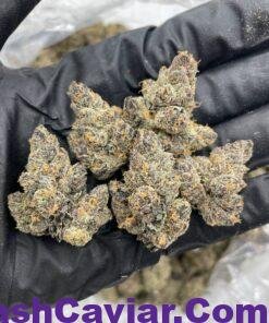 import placeholder for 15757