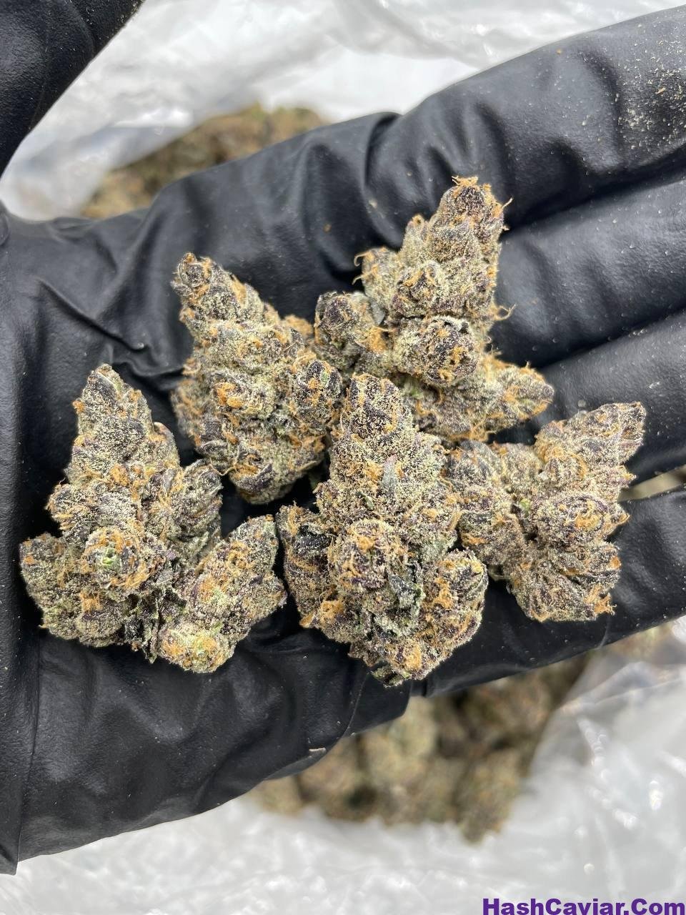 Grape Pixie Stix Strain