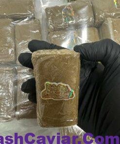 import placeholder for 16492