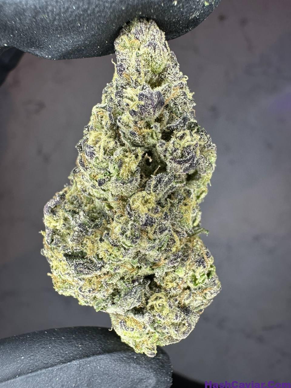 Laffy Taffy Strain