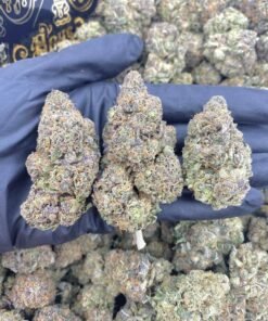 import placeholder for 16151