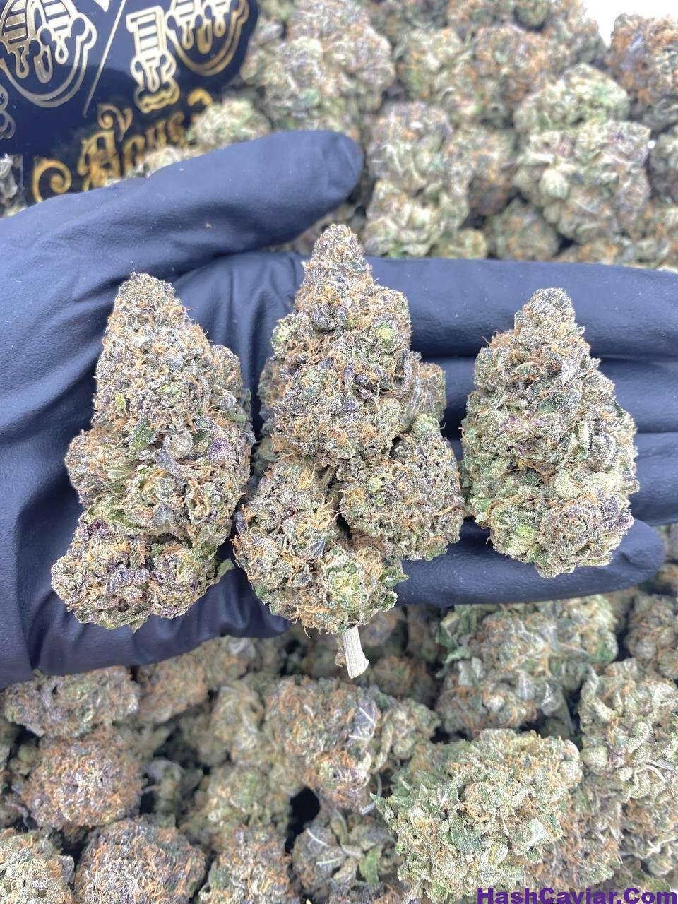 Obama Runtz For Sale 1 import placeholder for 16151