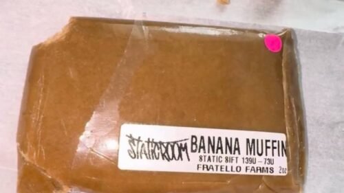 Order StaticRoom Sift Banana Muffin Flavour Fratallo Farms Dab Ready Static Hashish Sift