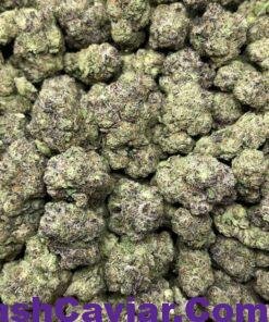 import placeholder for 15937