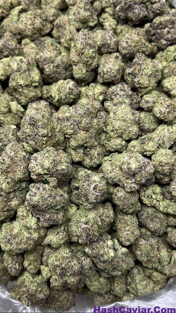 BUY PEANUT BUTTER BREATH