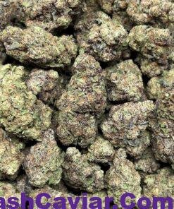 BUY PEANUT BUTTER BREATH 3 buy peanut butter breath