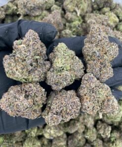 import placeholder for 16023