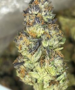 import placeholder for 16435