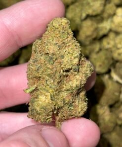 import placeholder for 16388