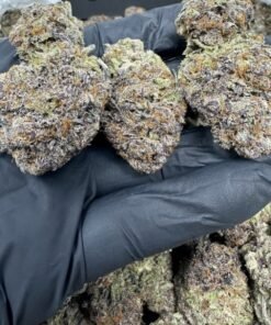 import placeholder for 16450