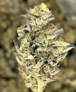 import placeholder for 16418