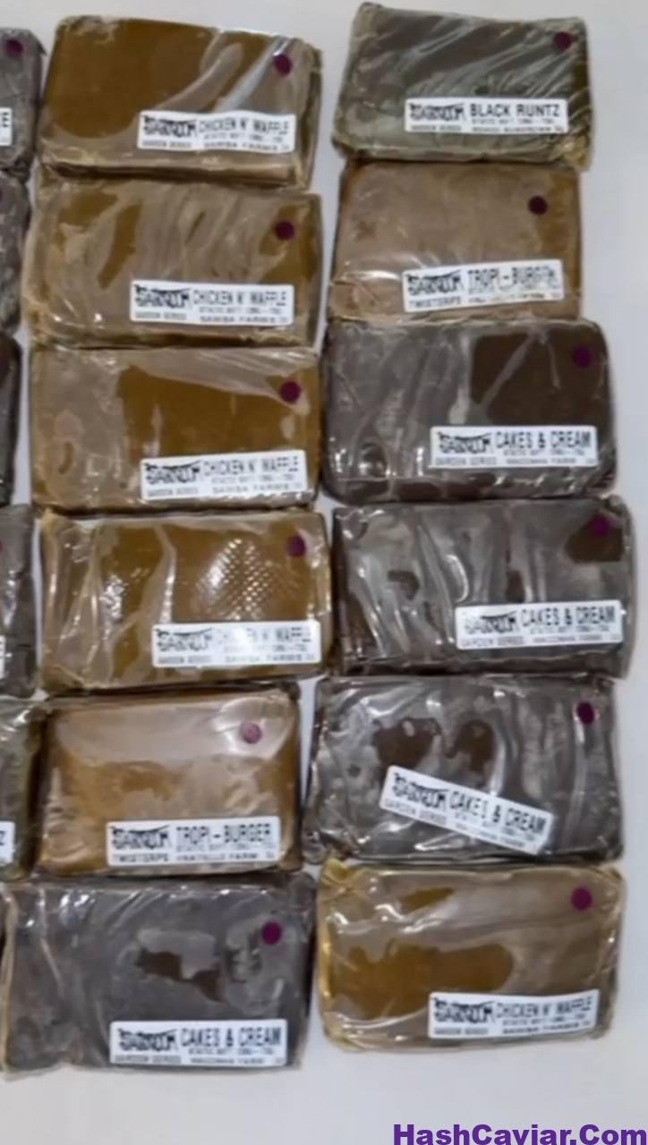 Alien 212 Hash 1 Buy Alien 212 StaticRoom Hash Purple Label now At Hash Caviar