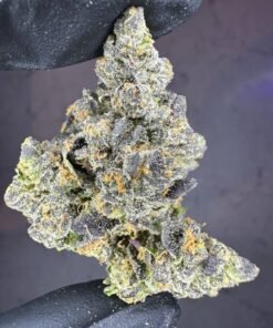 import placeholder for 16369