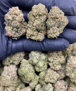 import placeholder for 15800