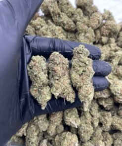 import placeholder for 15872