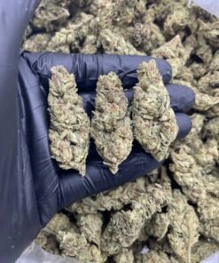 import placeholder for 15912