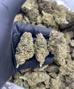 import placeholder for 15917