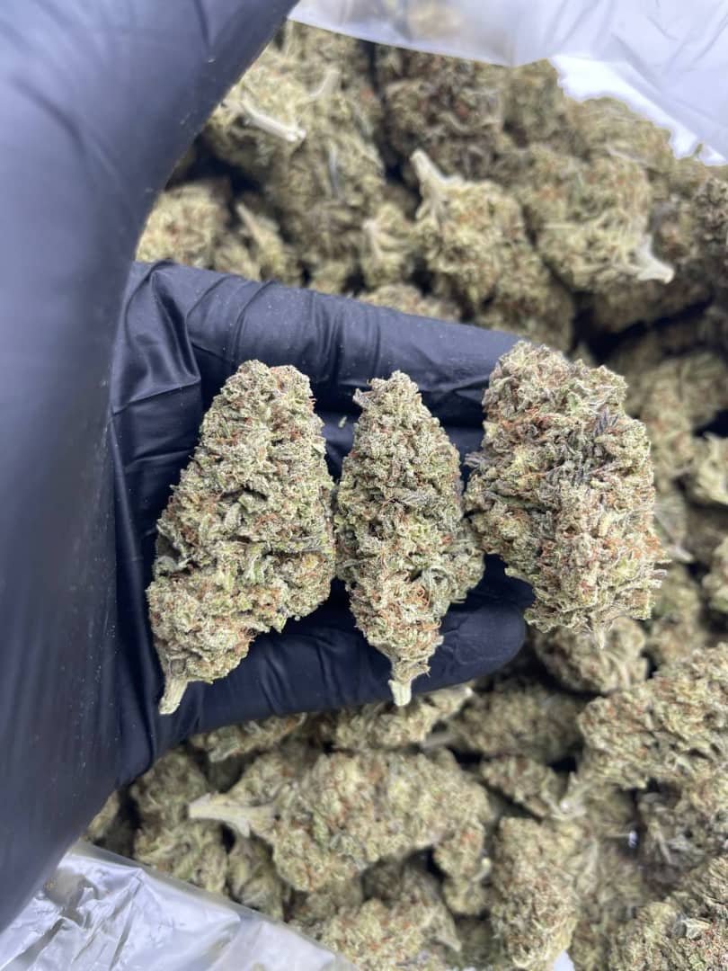 SAPPHIRE 1 import placeholder for 15917