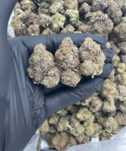 import placeholder for 15877