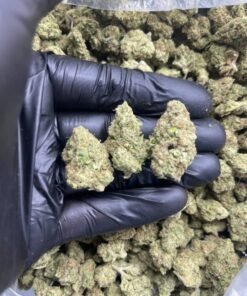 import placeholder for 15932