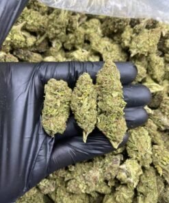 import placeholder for 15927