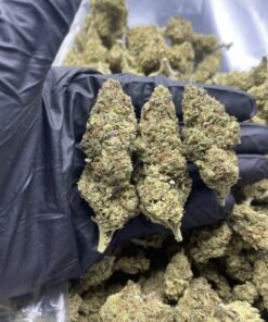 import placeholder for 15969