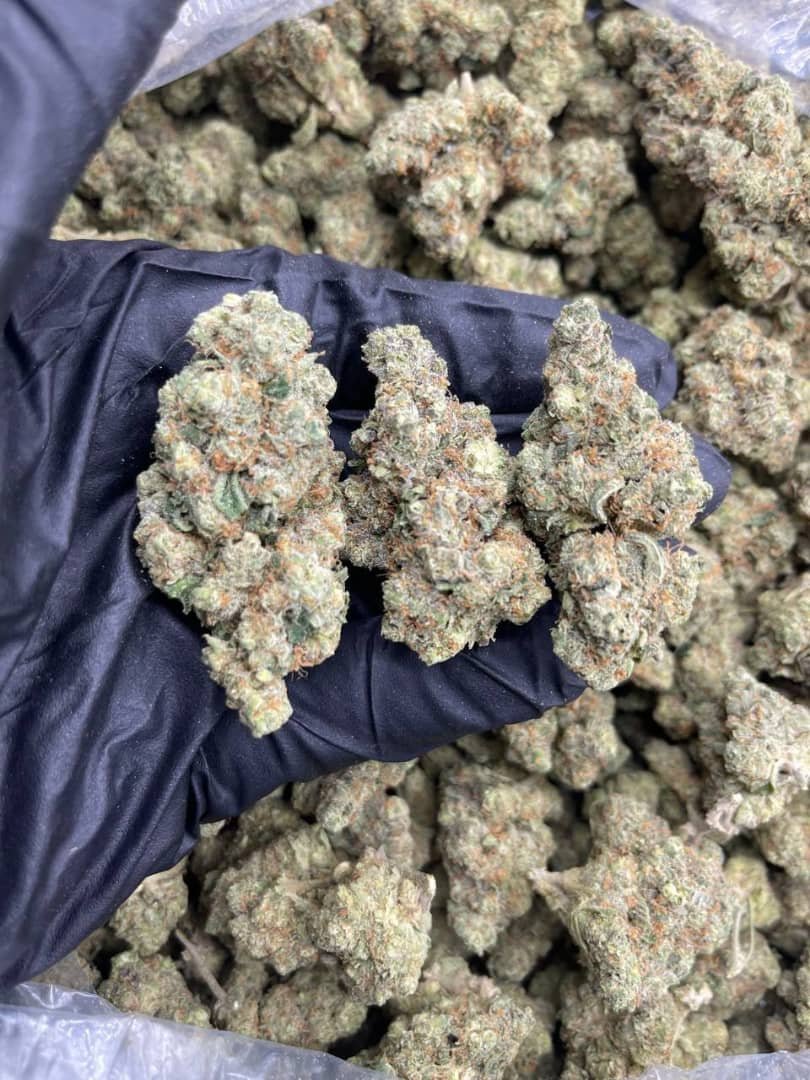 Mochi Strain For Sale Italy 1 import placeholder for 15974