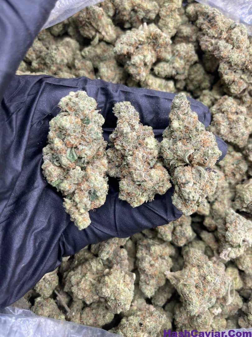 Mochi Strain For Sale Italy